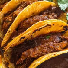 Easy Birria Tacos Recipe for Beginners