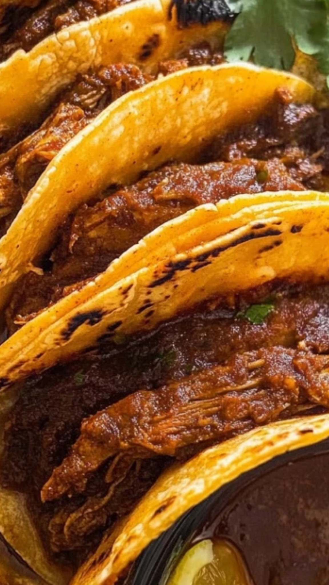Easy Birria Tacos Recipe for Beginners – Ina Recipes